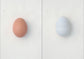egg / 澄敬一［プレオーダー/11月上旬発送］