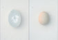 egg / 澄敬一［プレオーダー/11月上旬発送］