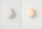 egg / 澄敬一［プレオーダー/11月上旬発送］