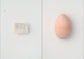 egg / 澄敬一［プレオーダー/11月上旬発送］