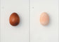 egg / 澄敬一［プレオーダー/11月上旬発送］