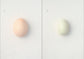 egg / 澄敬一［プレオーダー/11月上旬発送］