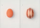 egg / 澄敬一［プレオーダー/11月上旬発送］
