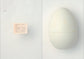 egg / 澄敬一［プレオーダー/11月上旬発送］