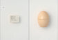 egg / 澄敬一［プレオーダー/11月上旬発送］