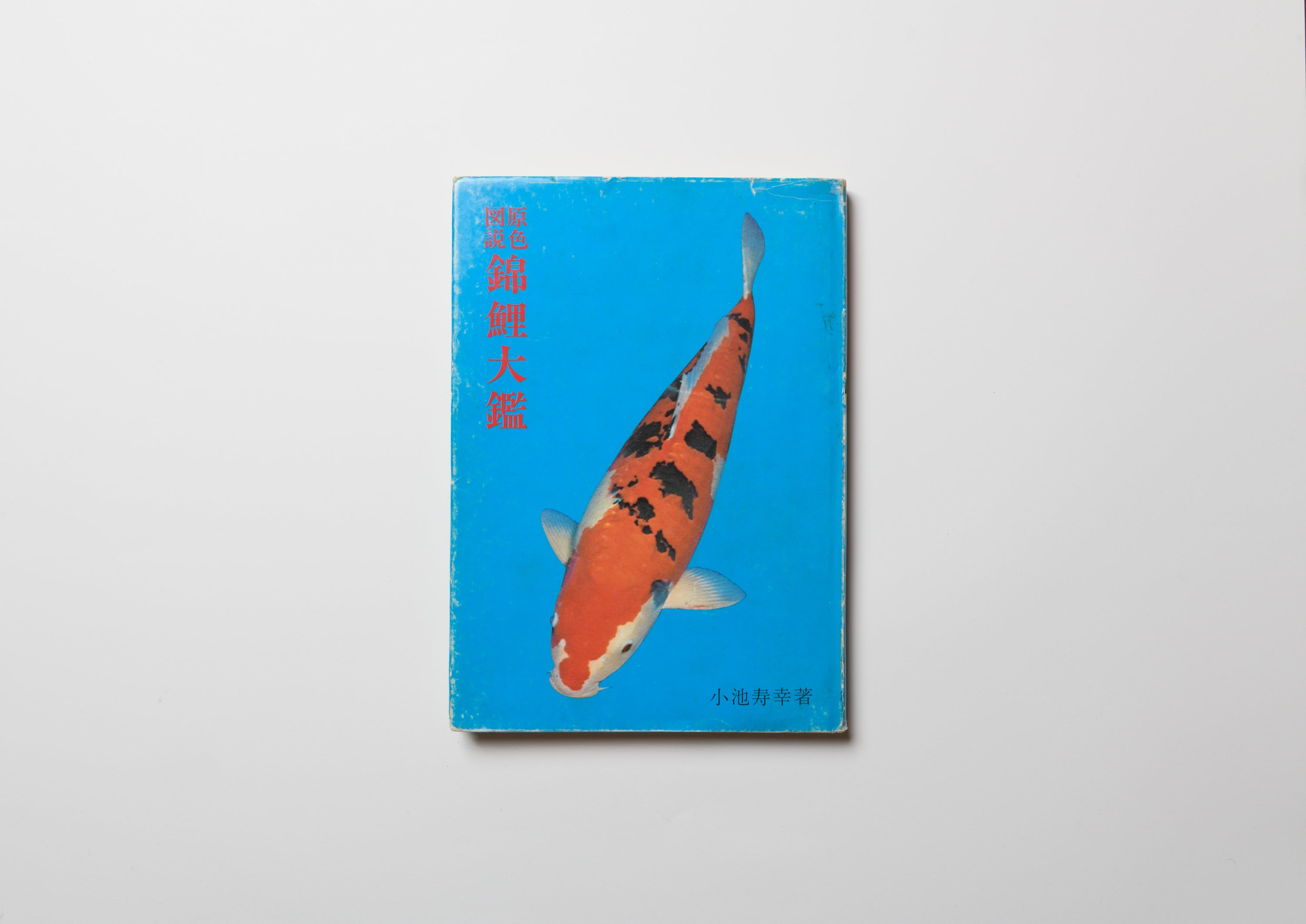 波鯉 イラスト集 大判 KOI 原色図説 錦鯉大鑑 – FRAGILE BOOKS
