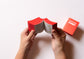 BOOK MANIFEST / Irma Boom