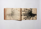 Charcoal Drawing Book